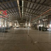 Bán Xưởng Kcn Thạnh Phú 11.740 M2 Chỉ 65 Tỷ