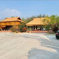 Cần Bán 3800M2 Resort View Sông Thị Tính, An Điền, Bến Cát, Chỉ 30 Tỷ