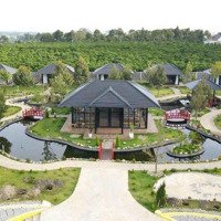 Bán Homestay Hiện Đại - Diện Tích: 4000M2 Thổ Cư -Lộc Thanh -Bảo Lộc-26Ty