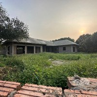 Bán Đất Sổ Đỏ Giá Rẻ Tại Minh Trí - Sóc Sơn-Hn