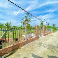 Bán Nhà Vườn Xã Phước Hậu, Cần Giuộc: 500M2 Có Sẵn Nhà Chồi