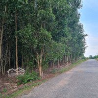 Chính Chủ Bán Đất Ở Bình Thuận Hơn 106M Mặt Tiền Đường Nhựa Qh Đất Ở