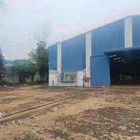 Chuyển Nhượng 100% Cổ Phần Công Ty Sản Xuất Viên Nén Gỗ Tại Kcn Dầu Gi