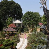 Chính Chủ Cho Thuê Biệt Thự, Homestay, Và Bugalow Tại Địa Điểm Đẹp