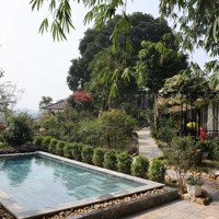 Chính Chủ Cho Thuê Biệt Thự, Homestay, Và Bugalow Tại Địa Điểm Đẹp