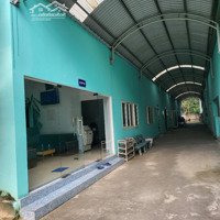 Cho Thuê Kho Xưởng Gần 10.000M2 An Điền, Bến Cát, Bình Dương