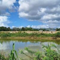 Đất nhà vườn view sông Túy Loan 1.7 tỷ/296m2