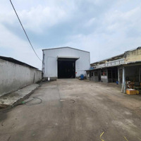 Kho Xưởng Mới Cho Thuê 1000M2 Ở Trần Đại Nghĩa, Huyện Bình Chánh
