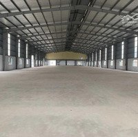 Cho Thuê Kho Xưởng Văn Lâm, Hưng Yên Diện Tích 3800 M2 Và 1100M2