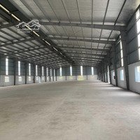 Cho Thuê Kho Xưởng Văn Lâm, Hưng Yên Diện Tích 3800 M2 Và 1100M2