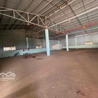 Cho Thuê Kho 800 M2 Chưa Hàng Thuộc Ccn Tân An Bmt