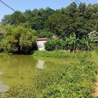 Bán Đất Thổ Cư + Tcln, Rsx Gần 7000M2 Tại Hồ Sơn, Tam Đảo