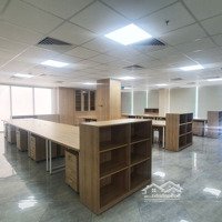 List Vp Từ 100-200M2, Sàn Đẹp, View Thoáng Tại Q. Hải Châu - Mizuland