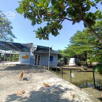 Bán Nhà Vườn 1 Sẹc Sông Lu,Diện Tích3000M2 (56M X 53M) - Thổ Cư 300M2