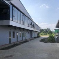 Chuyển Nhượng Nhà Xưởng Mới Xây 11.500M2 Trên Lô Đất 2.2Ha Tại Kcn Tam Nông, Phú Thọ - Giá Cực Tốt