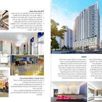 Căn Hộ 2 Phòng Ngủ2Vsdiện Tích70,4M Chung Cư Handico Complex 33 Lê Văn Lương Ra Hàng