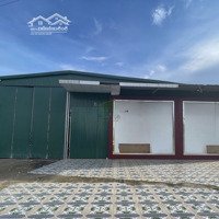 Cho Thuê Kho Bãi Kiên Cố 500M² Giá 28 Triệu/Tháng Khu Diên An