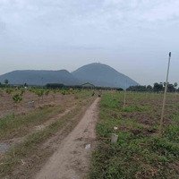 Đất Tp Tây Ninh (14X36) 290 Triệu