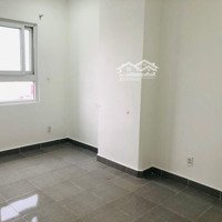 Cho Thuê Gấp Chung Cư Đại Thành Tân Phú, 70M2 Ở Liền