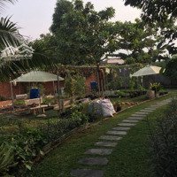 Cho Thuê Nhà Vườn , Nằm Ngay Trung Tâm Thành Phố Biên Hòa