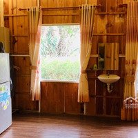 Nhà Gỗ Homestay Cho Thuê Tháng