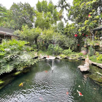 Cho Thuê Biệt Thự Sân Vườn An Dương, Tây Hồ