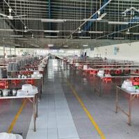 Cho thuê xưởng sản xuất 5.500m2 trong KCN tại Hải Dương
