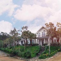Bán Biệt Thự Nghỉ Dưỡng Diện Tích Sổ Đỏ Lâu Dài - Resort Rose Villa Yên Bài, Ba Vì. Diện Tích 290M2