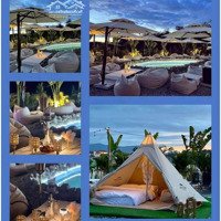 Cho Thuê Khu Camping & Cafe 1500M2