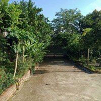 Bán 1700M2 Nhà Vườn Hoàn Thiện Tại Xã Cư Yên, Lương Sơn. Liên Hệ: 0988168636