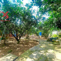 Bán Nhà Vườn Nghỉ Dưỡng 1.033M2 Xã Tân Bình, Vĩnh Cửu, Đồng Nai