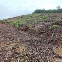 Cần Bán 4,5 Hecta Đất Rừng Sản Xuất Mặt Tiền Ql14G Khu Vực Đông Giang