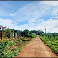 Đất Giá Rẻ Đường Nguyễn Bình _ Phường Chi Lăng