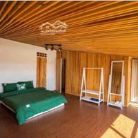 Cho Thuê Phòng Trọ Trong Khu Homestay Sân Vườn Cực Chill