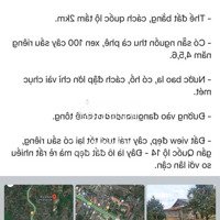 17323,9M2 Sổ Sẵn Có Hồ To, Giáp Suối Kẹt Bán 270 Triệu