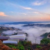 Bán Famstay 1.843M2 View Săn Mây -Xuân Thọ