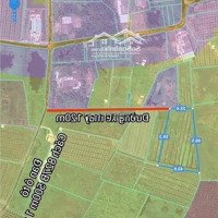 Đất Lúa Giá Rẽ 230 Triệu/1000M2 Đường Xe Máy Phú Ngãi Trị, Sổ Riêng