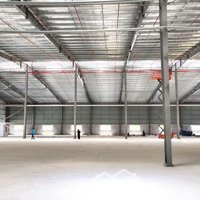 Cho Thuê Kho Xưởng 1000M2 Đến 5500M2 Kcn Tân Kim .Tt Cần Giuộc