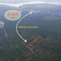 Đất View Thung Lũng Cách Quốc Lộ 800M Giá Siêu Rẻ