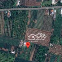 Bán Đất Ở Bình Phan 1000M2 , Chợ Gạo, Tiền Giang, Gần Bờ Sông