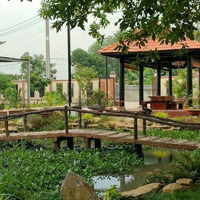 Cần Bán Căn Nhà Vườn Nghỉ Dưỡng Xã Phước Vĩnh An Cu Chi