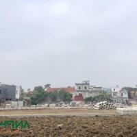 Chính chủ cần bán lô đất tại khu đấu giá thị trấn Tiên Lãng, huyện Tiên Lãng, Hải Phòng