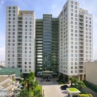 Bán Nhanh Penthouse Botanic Tower Nguyễn Thượng Hiền Phú Nhuận