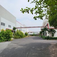Cho Thuê Kho Xưởng Nằm Trong Khu Công Nghiệp Ở Huyện Long Thành Tỉnh Đồng Nai