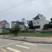Lô Biệt thự 2 mặt tiền 10x32m Thị trấn Tân Phong, Quảng Xương