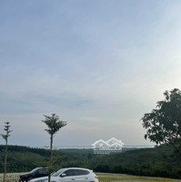 Bán Vườn Xoài Đl 1000M2 10,5 X 94 Nở Hậu 15M Đường Bê Tông View Hồ Trị An Có Suối Sau Đất