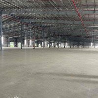 Cho Thuê Kho Xưởng Đat Chuẩn 5000M2 - 50,000M2 Kcn Phước Đông