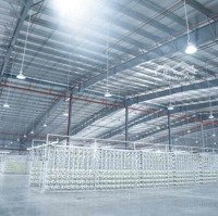 Cho Thuê Kho Xưởng Đat Chuẩn 5000M2 - 50,000M2 Kcn Phước Đông