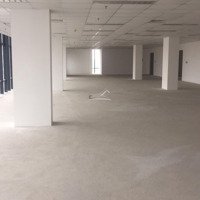 Cho Thuê Văn Phòng Tòa Nhà Vtc Online Phố Tam Trinh, 100M2, 150M2, 200M2... 800M2, Giá 100K/M2/Th