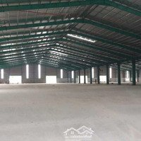 Giá 51.000Đ/M2 - Diện Tích 3000M2, 5000M2, 10.000M2, 30.000M2 Tại Kcn Đức Hòa, Long An